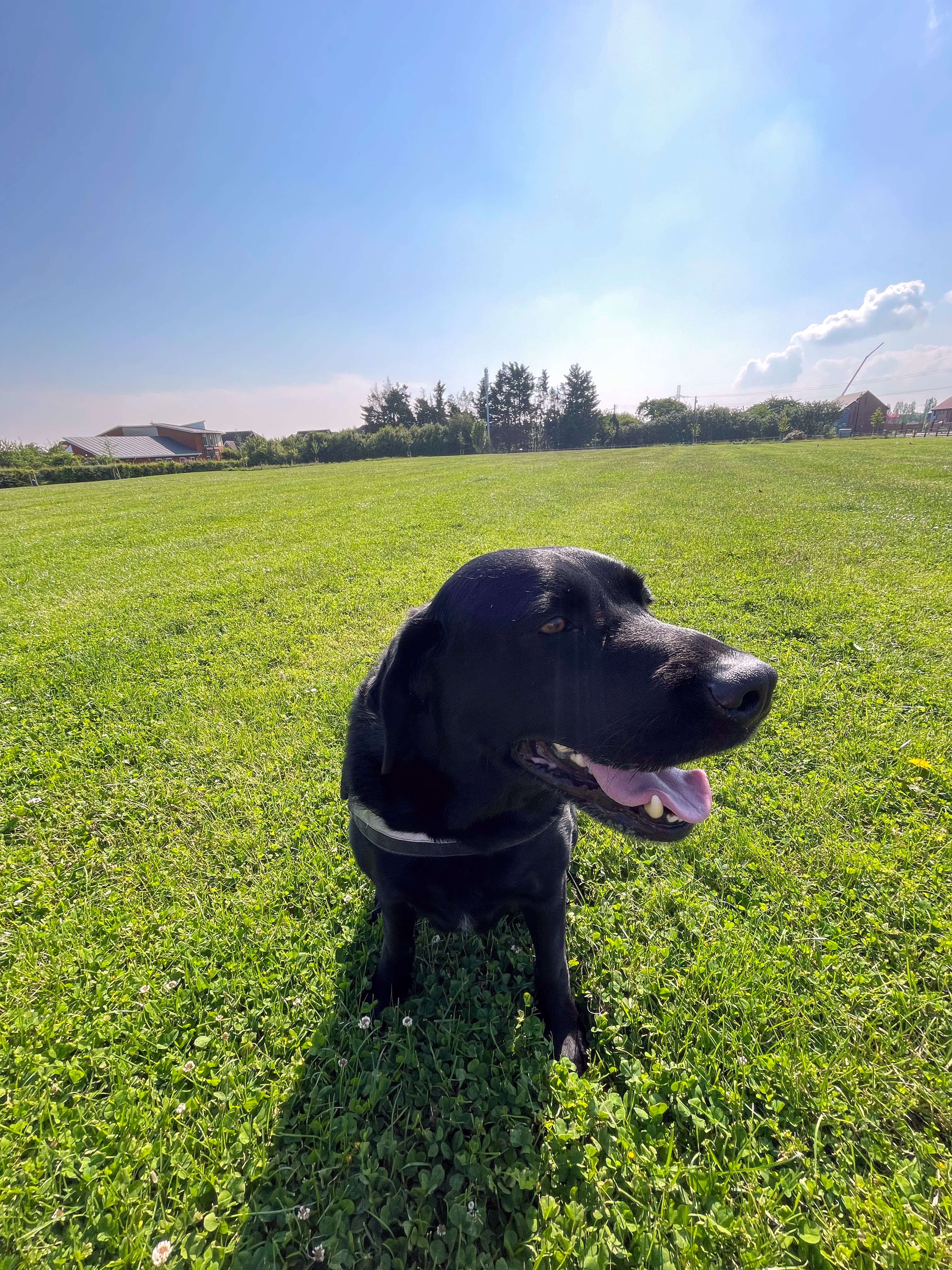 Jet